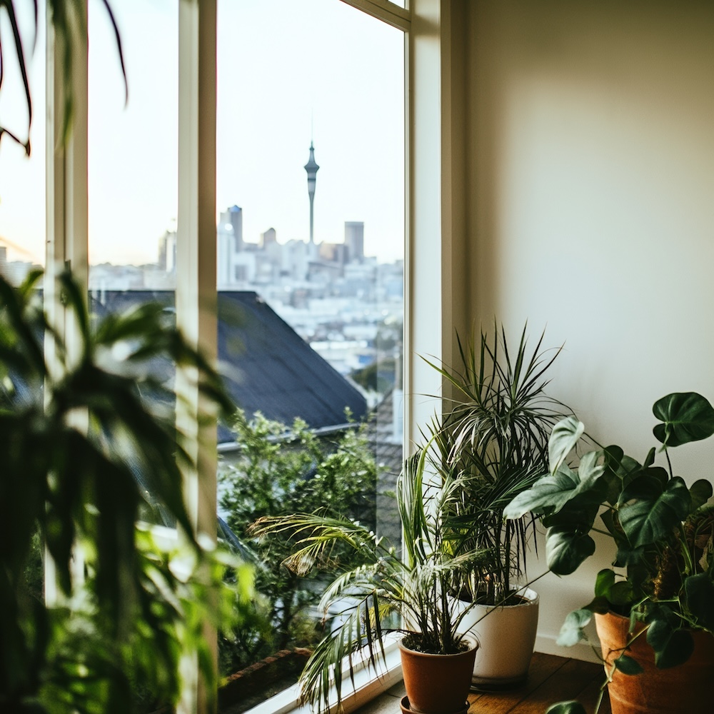 A city view from an apartment window